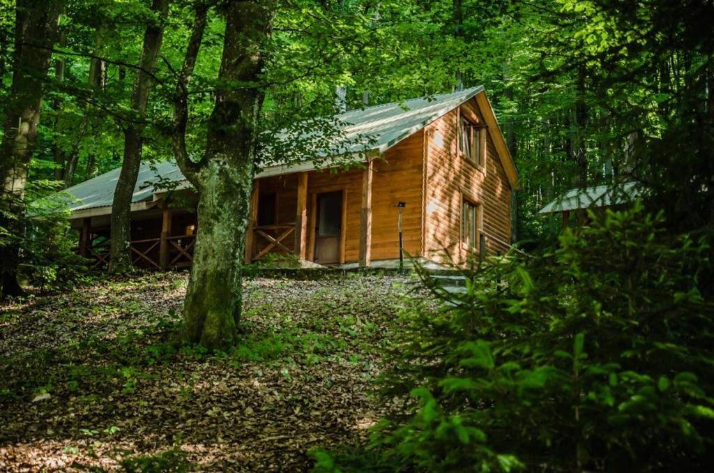 База Відпочинку Шиповець Poroshkovo Exterior photo