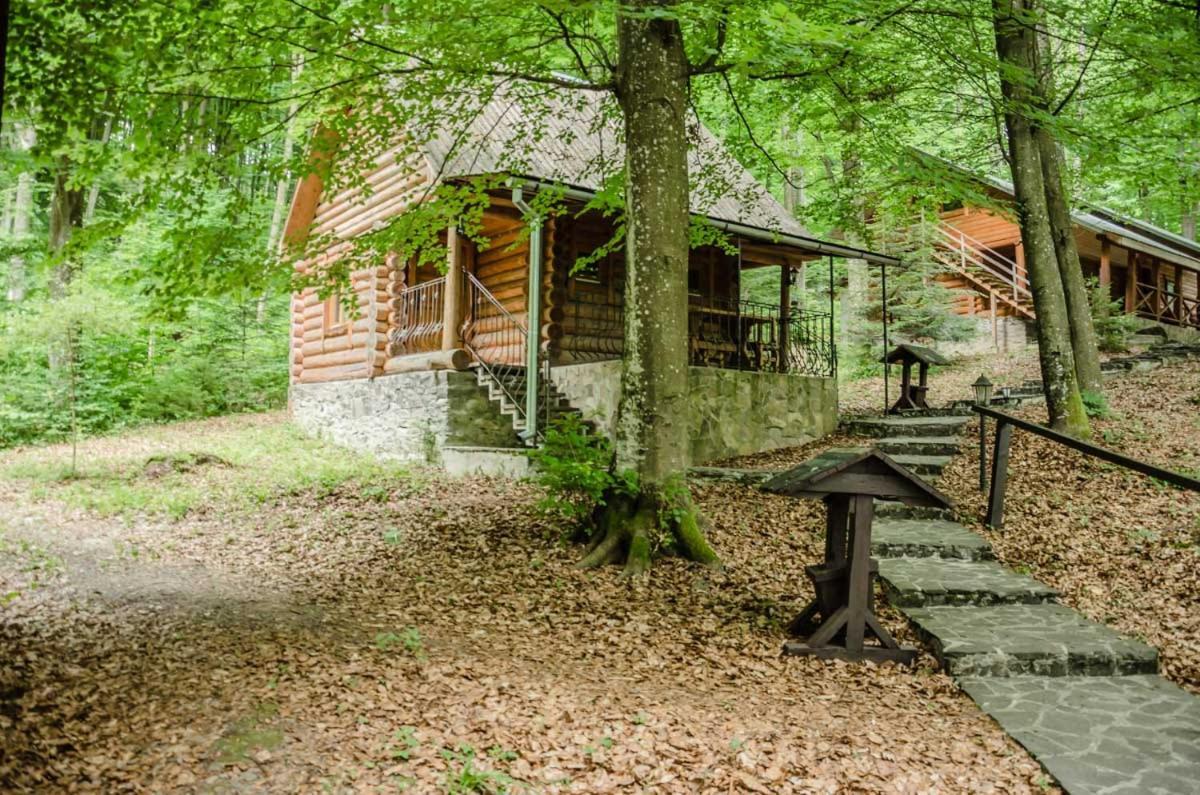 База Відпочинку Шиповець Poroshkovo Exterior photo