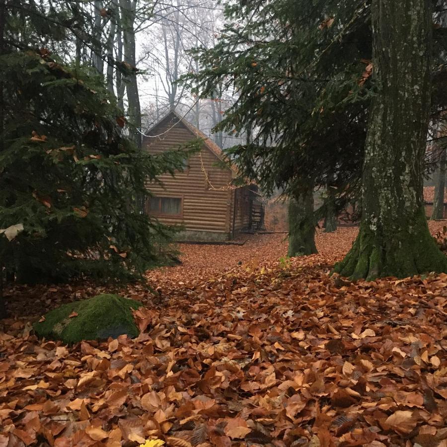 База Відпочинку Шиповець Poroshkovo Exterior photo