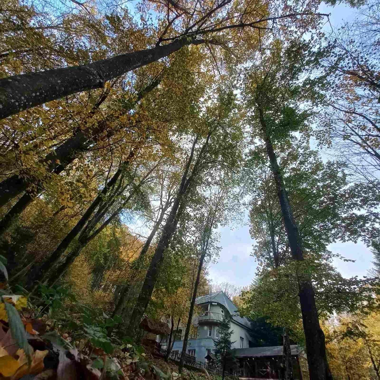База Відпочинку Шиповець Poroshkovo Exterior photo