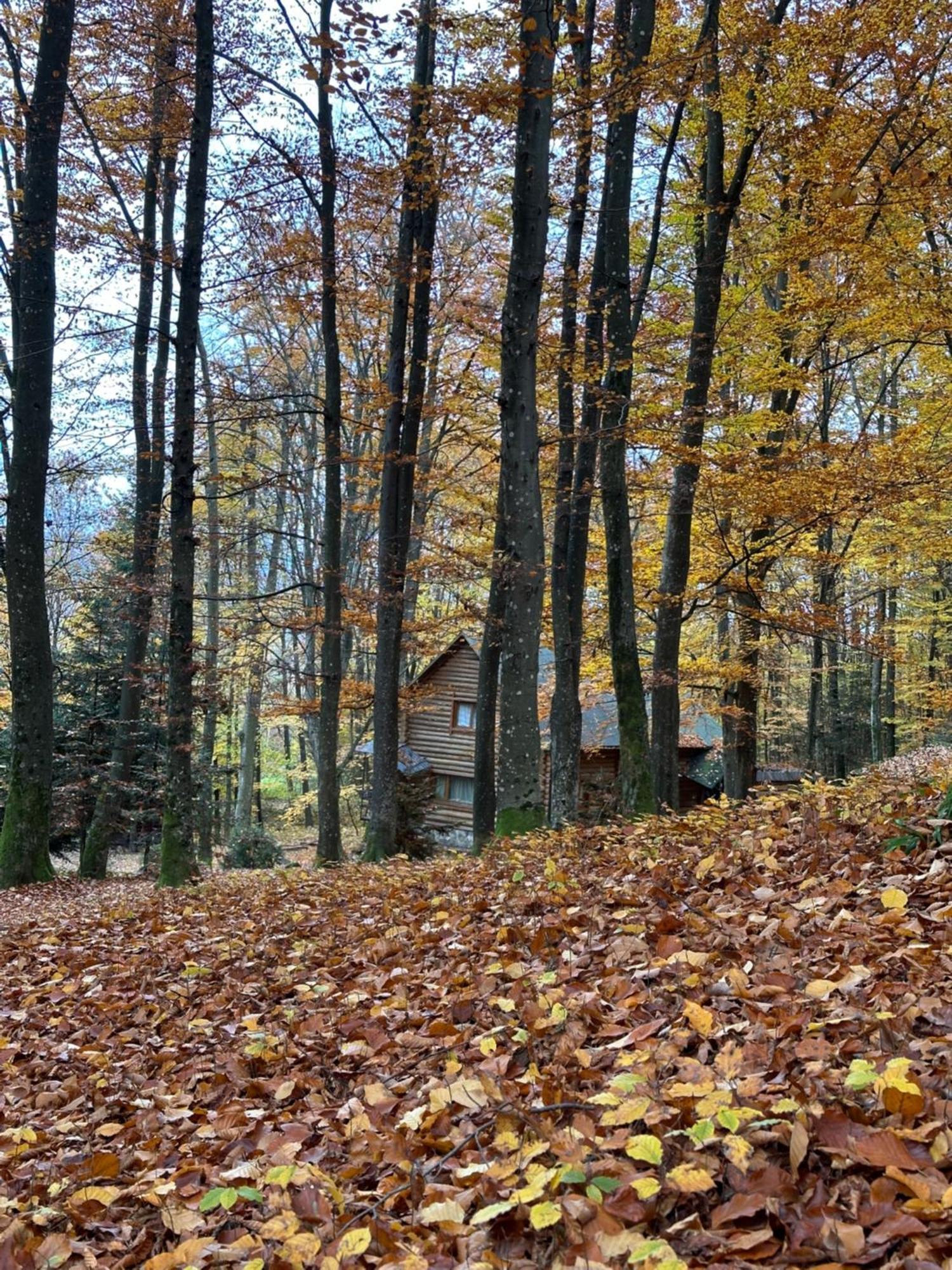 База Відпочинку Шиповець Poroshkovo Exterior photo